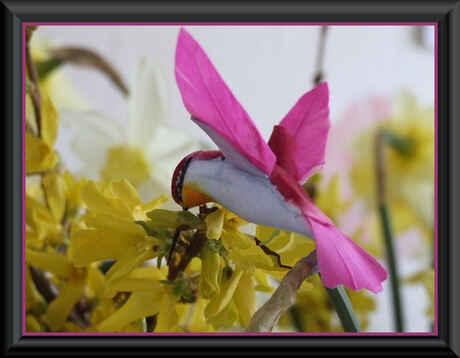 EEN KOLIBRI