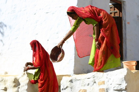 Sari vrouwen