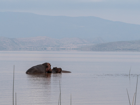 Ethiopie Langano Lake 2