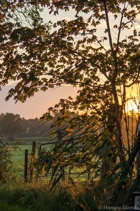 Kleuren van de natuur-1