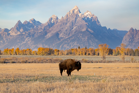 Grand Teton