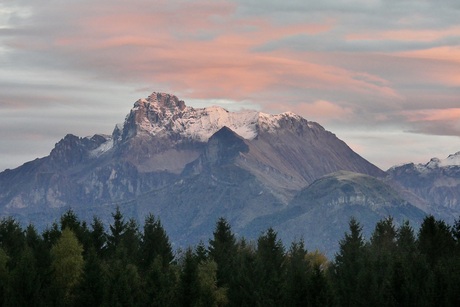 White after the night.