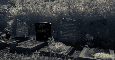 In de schaduw van het gesternte/Ossuary Visions