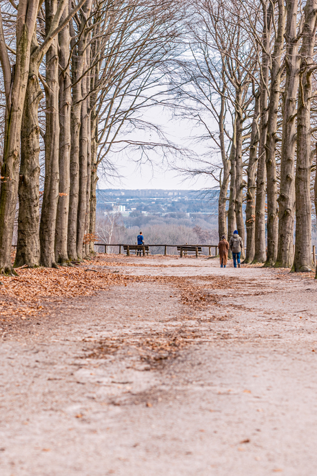 Walks with a view