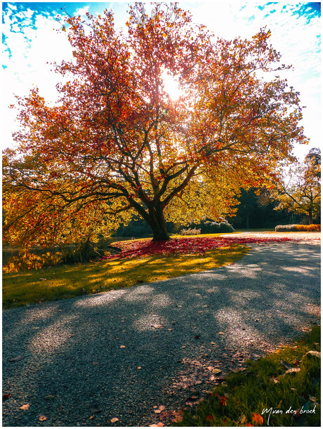 Julianapark Stadskanaal in mooie herfst kleuren 