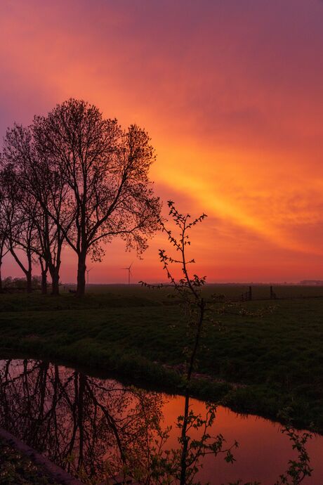 "Gouden uurtje"