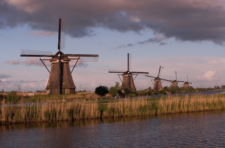 molens kinderdijk op een rij