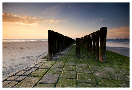 Zeeuws Vlaanderen 2007