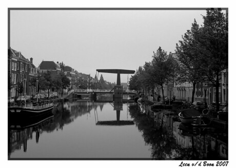 Leiden zwart/wit