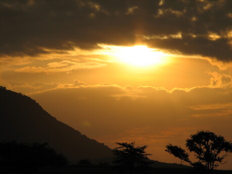 Zonsopgang @ Masai Mara