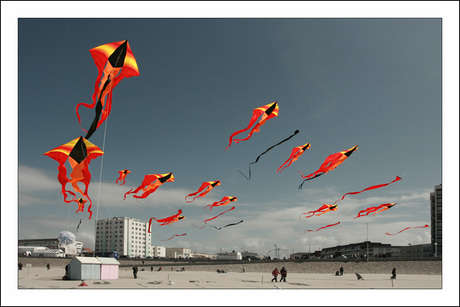 Kite squadron