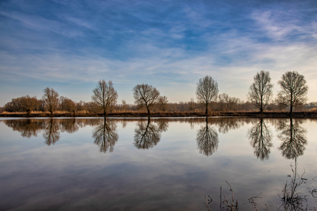 2019-02-16 Zaterdagmiddag in Meinerswijk A2-1143 (1)