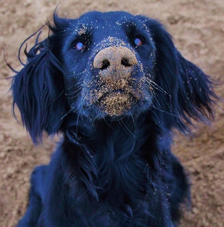 It wasn't me digging that hole!