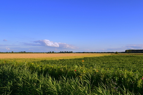 zomer 2012