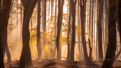 A morning worth waking up for