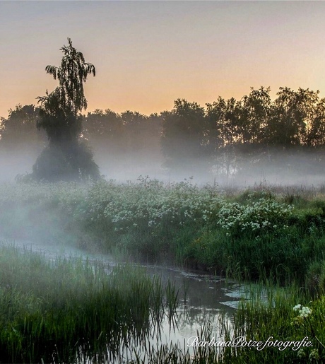 Nevel, zonsopkomst,