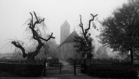Sint Vitus Kerk Doezum in de Mist