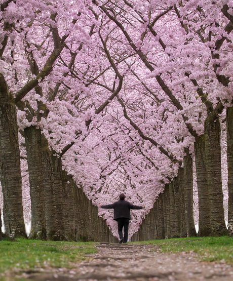 Feel spring
