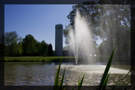 Vijver in de zon