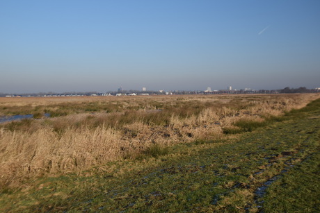 Groningen skyline