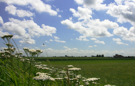 Wolken in de polder