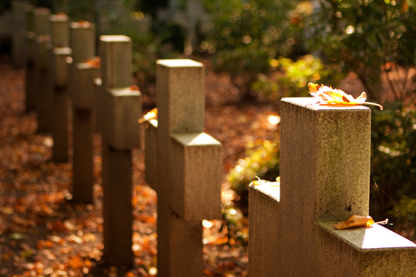 Autumn at the graveyard