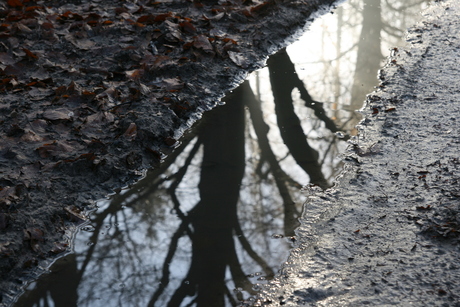 winter hoge veluwe