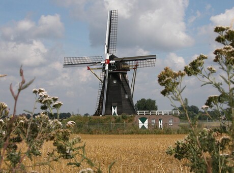 Holland