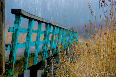 Blauwe brug Oostvaardersplassen