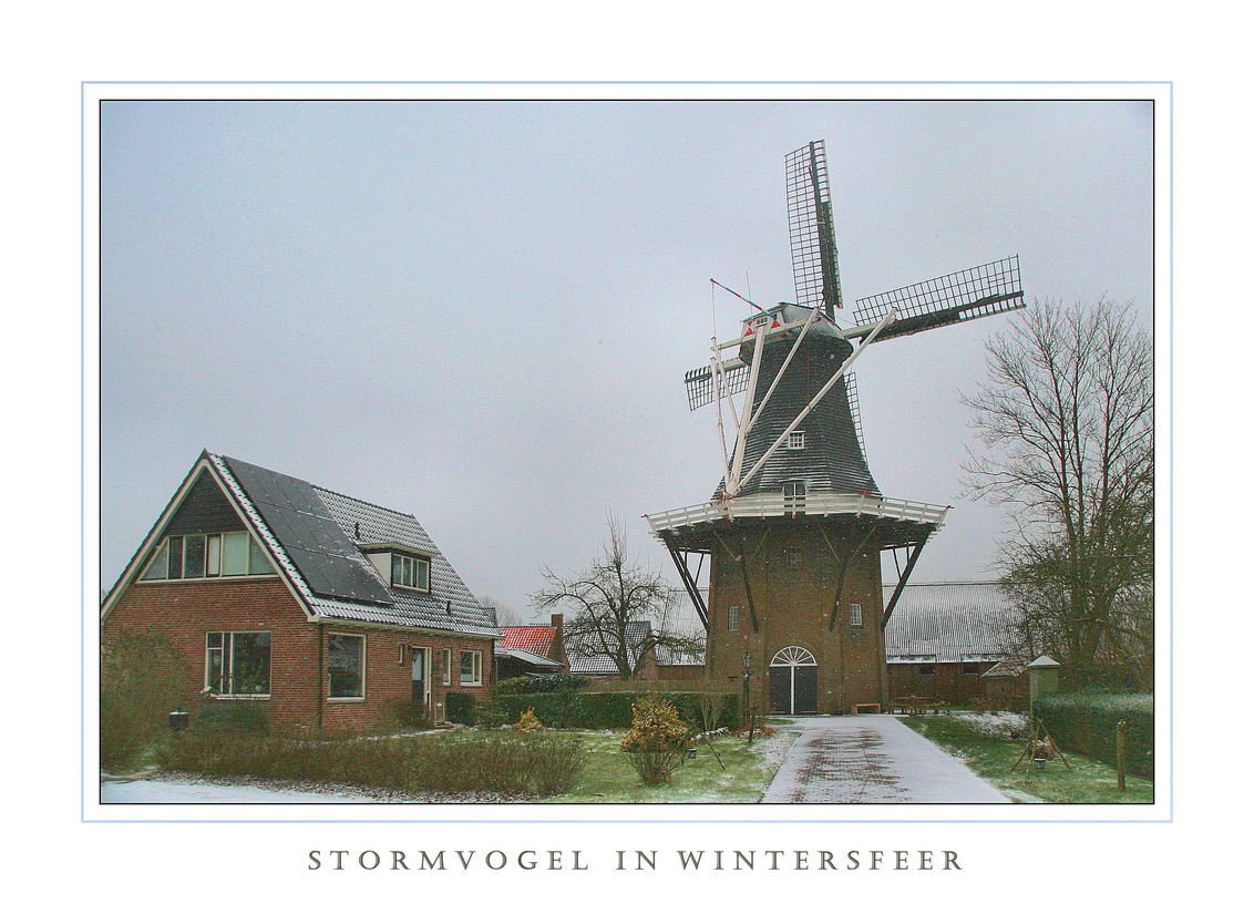 S T O R M V O G E L I N D E W I N T E R - Bij ons in Loppersum.nog steeds glad, ook de molen DE STORMVOGEL staat naar het oosten gericht waar de kou en ijsel en sneeuw vandaan komt - foto door Teunis Haveman op 07-01-2016 - deze foto bevat: sneeuw, winter, ijs, landschap, molen