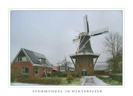 S T O R M V O G E L I N D E W I N T E R - Bij ons in Loppersum.nog steeds glad, ook de molen DE STORMVOGEL staat naar het oosten gericht waar de kou en ijsel en sneeuw vandaan komt - foto door Teunis Haveman op 07-01-2016 - deze foto bevat: sneeuw, winter, ijs, landschap, molen