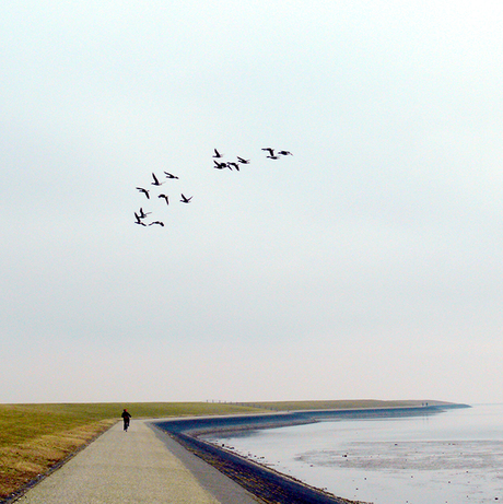 Groeten uit Ameland