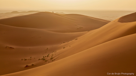 Tegenlicht zandduinen Erg Chebbi