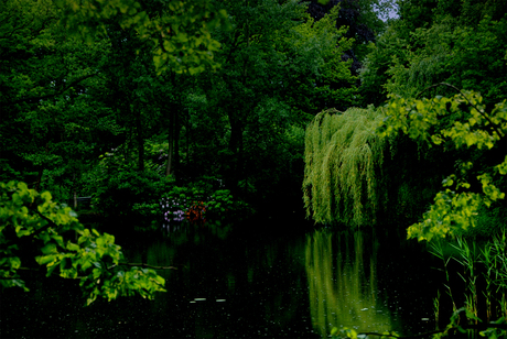 park in Joure (friesland)