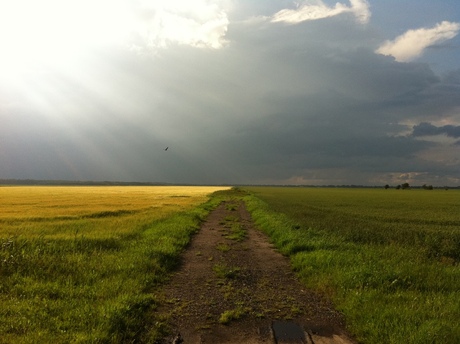 Road of beauty and peril