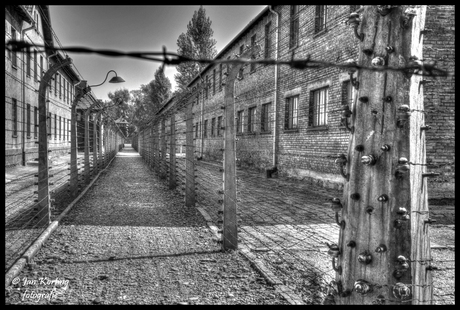eindeloze afrastering_Auschwitz-Birkenau