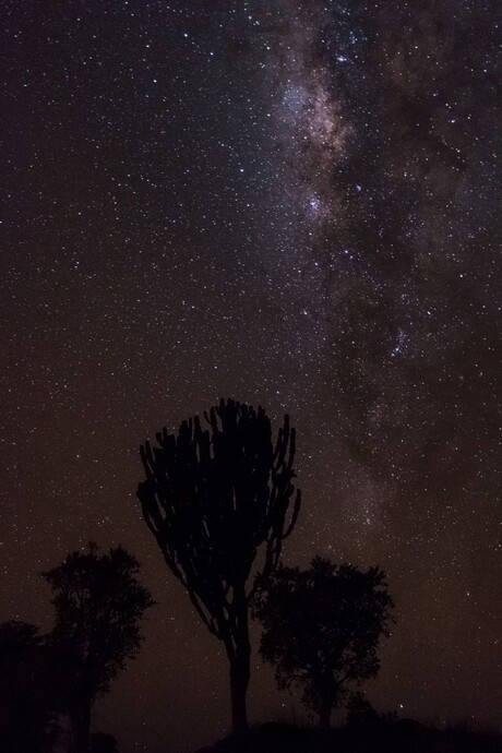 Stars in Uganda