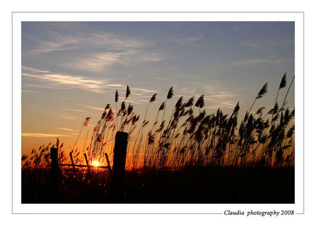 Zononder in de polder