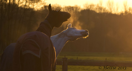 Tijdens zonsondergang!