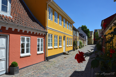 Odense authentieke straat