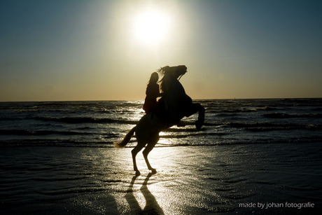 paard met ondergaande zon