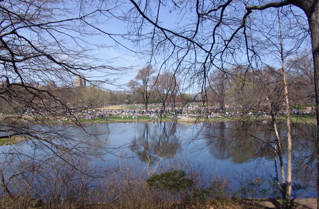 Central Park