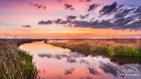 Sunrise in the Onlanden