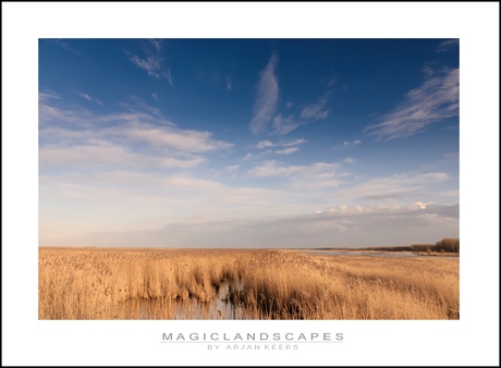 oostvaardersplassen