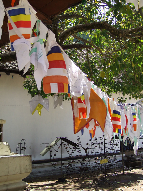 Boeddhistische gebedsvlaggetjes