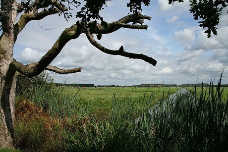 Polderlandschap