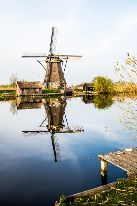 Molen