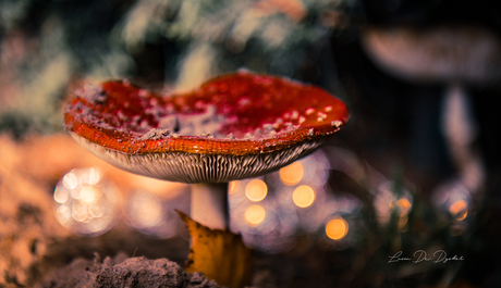 Kerst is niet meer ver af ...