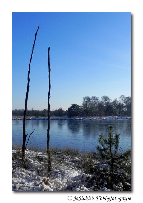 Natuurgebied Kampina