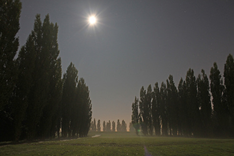 Molenvlietpark, Woerden by night